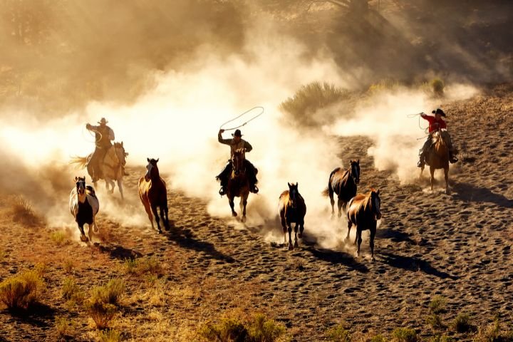 Yellowstone Season 6 – What We Know So Far 